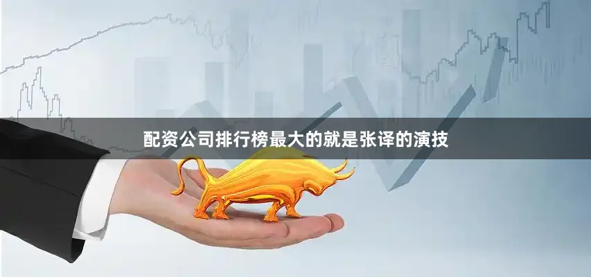 配资公司排行榜最大的就是张译的演技