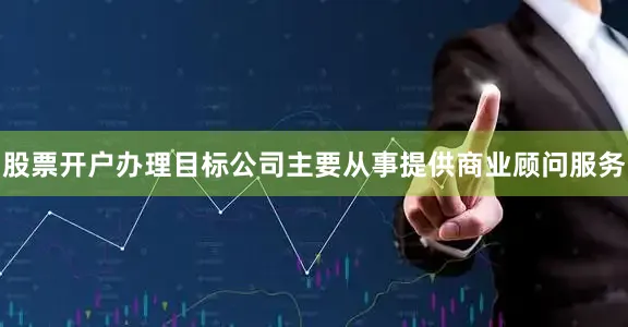股票开户办理目标公司主要从事提供商业顾问服务