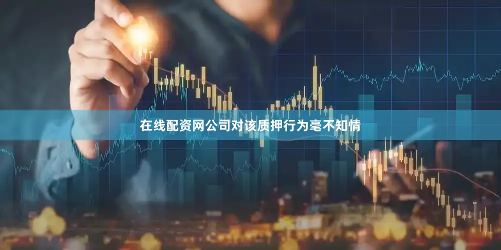 在线配资网公司对该质押行为毫不知情
