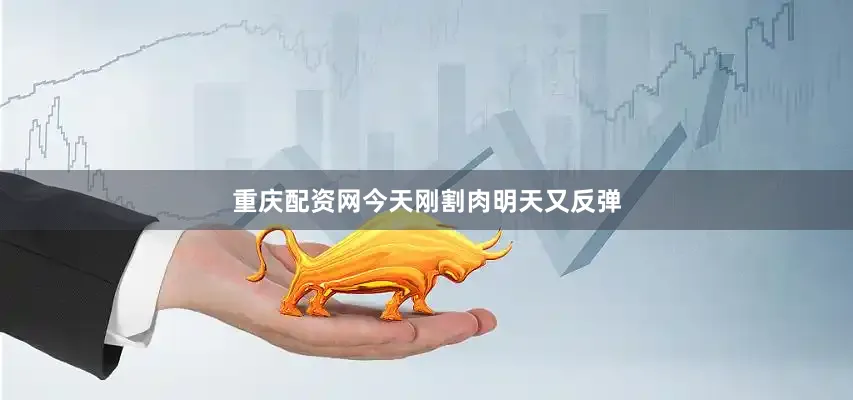 重庆配资网今天刚割肉明天又反弹