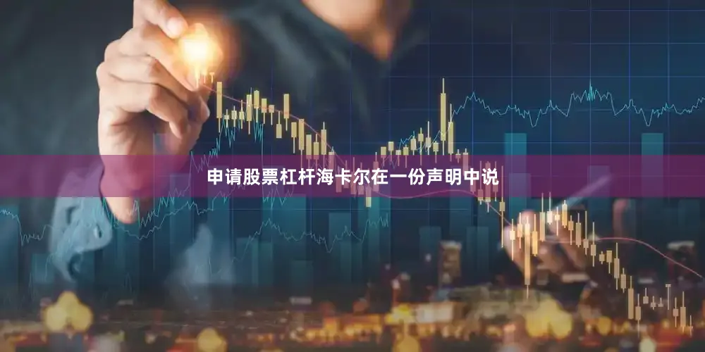 申请股票杠杆海卡尔在一份声明中说